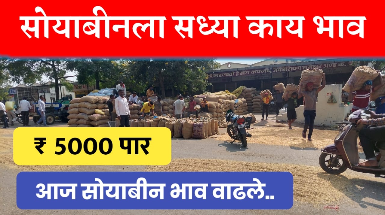 सोयाबीन भाव