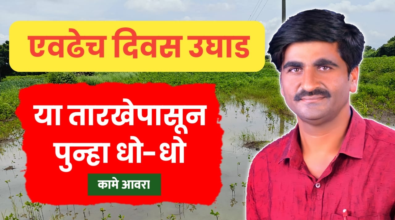 पंजाब डख