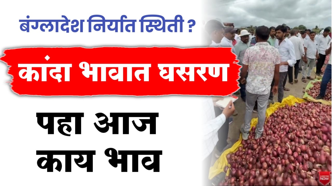 कांदा भावात घसरण