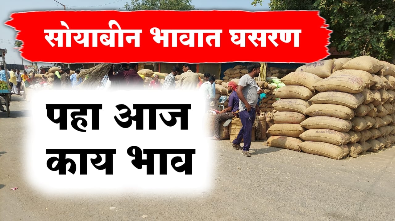 सोयाबीन भावात घसरण
