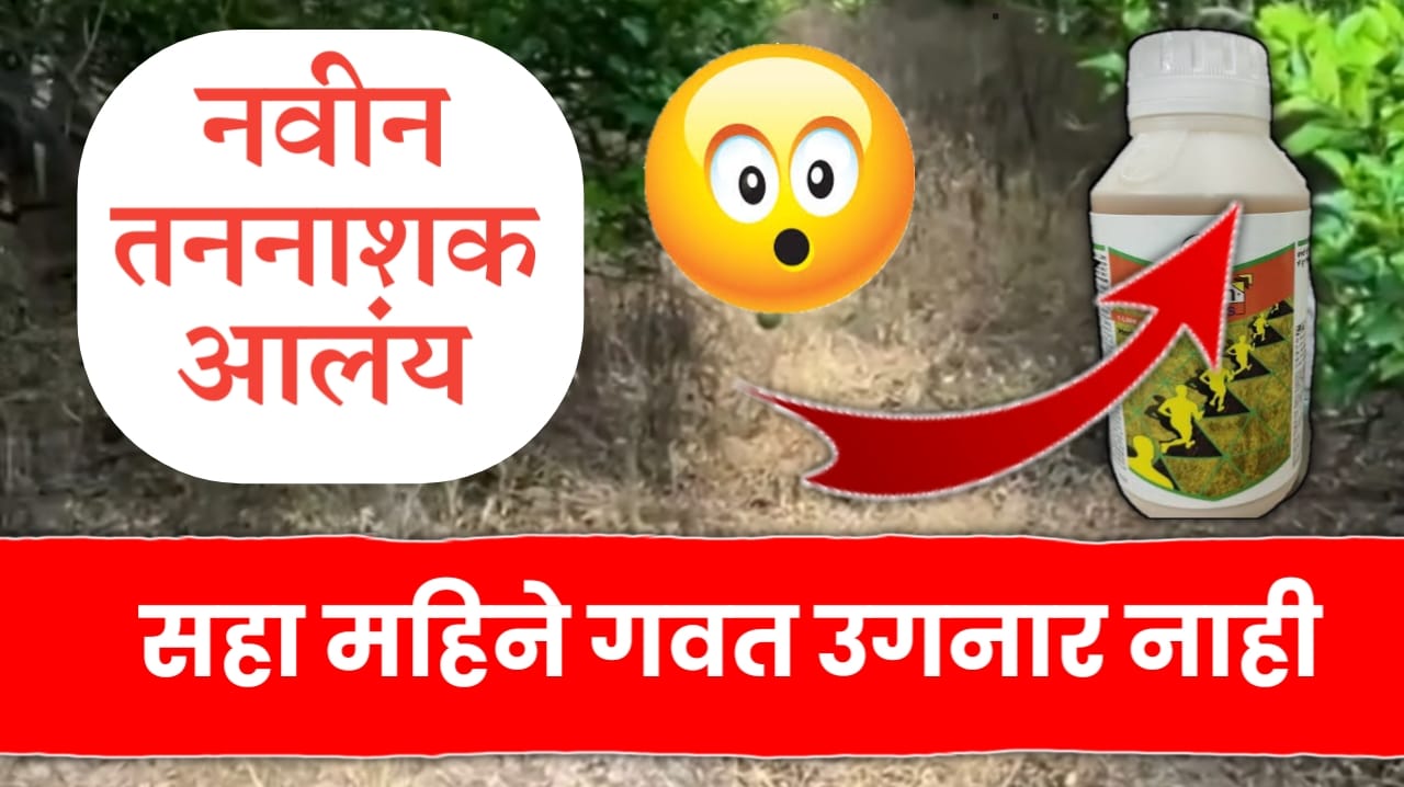 नवीन तननाशक