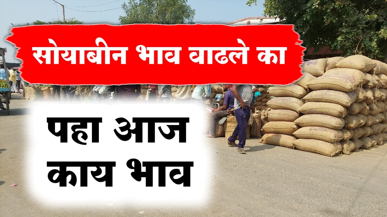 सोयाबीन बाजारभाव
