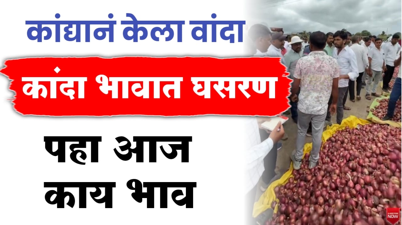 कांदा बाजारभाव today